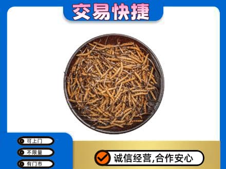 哈尔滨宾县回收散虫草